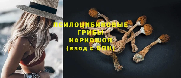 крисы Богородицк