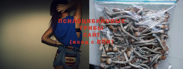 крисы Богородицк