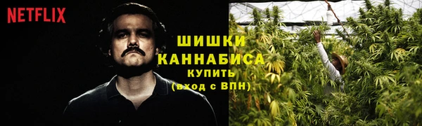 мяу мяу кристалл Богданович