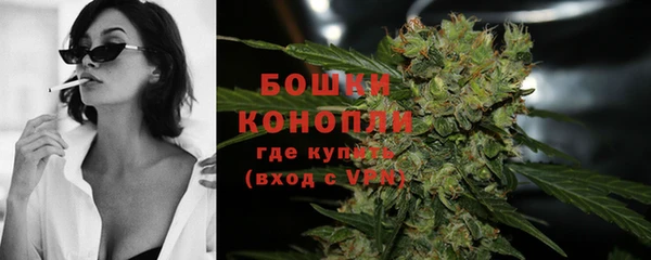 сатива Богородск