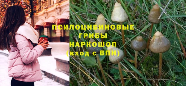 сатива Богородск