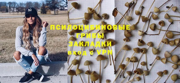 сатива Богородск