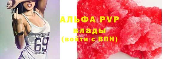 крисы Богородицк
