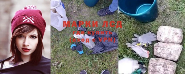 мяу мяу кристалл Богданович