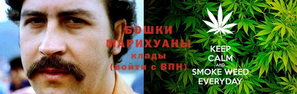крисы Богородицк