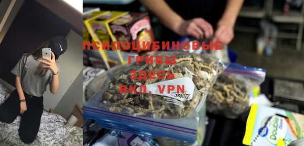 крисы Богородицк