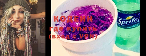 крисы Богородицк