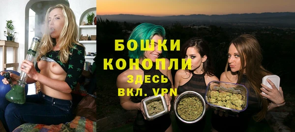мяу мяу кристалл Богданович